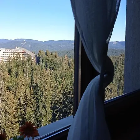 Пампорово Апартамент,Студио Милка 17,В Х Росица, За Ски И Туризъм,Целогодишно דירה