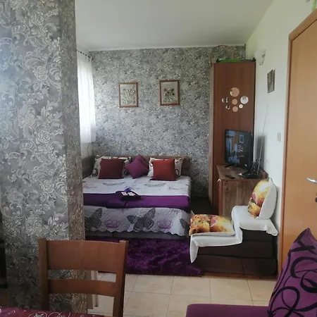 апартамент,студио милка 17,в х росица, за и туризъм,целогодишно Apartamento Pamporovo