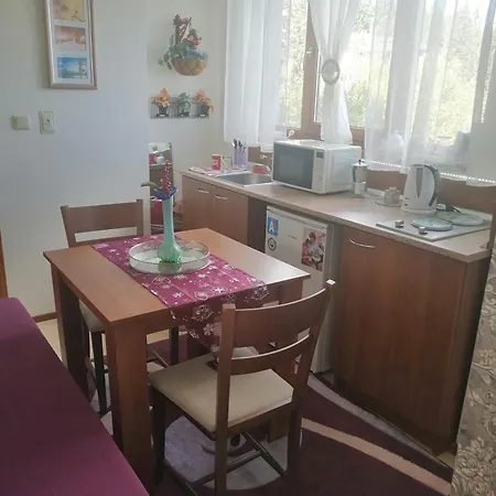Apartamento апартамент,студио милка 17,в х росица, за и туризъм,целогодишно Pamporovo