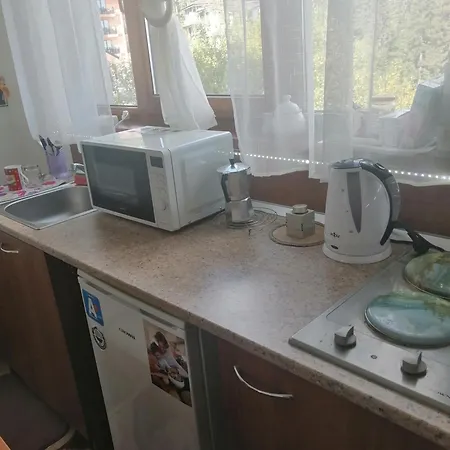 Пампорово Апартамент,Студио Милка 17,В Х Росица, За Ски И Туризъм,Целогодишно *