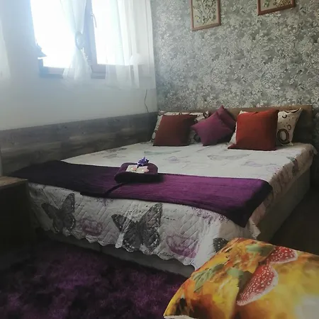 апартамент,студио милка 17,в х росица, за и туризъм,целогодишно Apartamento *