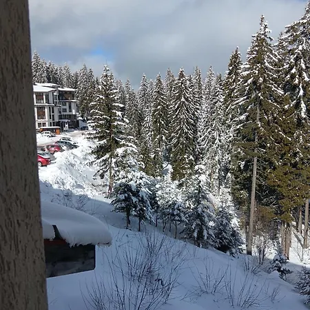 דירה Пампорово Апартамент,Студио Милка 17,В Х Росица, За Ски И Туризъм,Целогодишно *