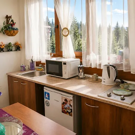 Apartamento апартамент,студио милка 17,в х росица, за и туризъм,целогодишно