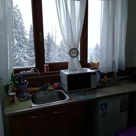 Пампорово студио Милка в хотел Росица Апартаменты *