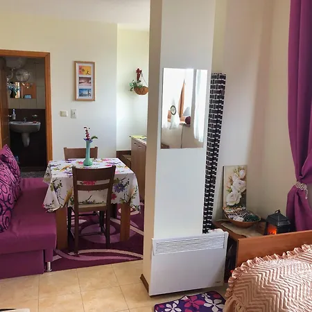 דירה Пампорово Апартамент,Студио Милка 17,В Х Росица, За Ски И Туризъм,Целогодишно