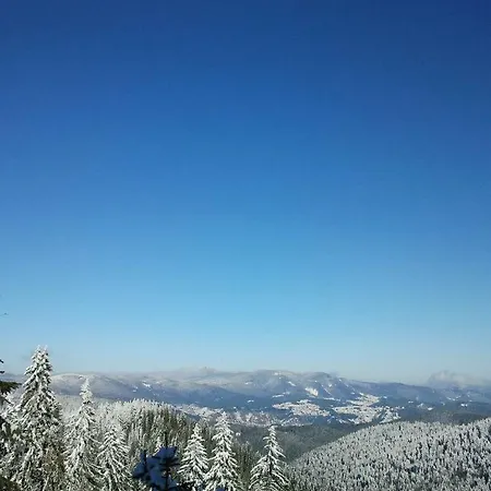 דירה Пампорово Апартамент,Студио Милка 17,В Х Росица, За Ски И Туризъм,Целогодишно