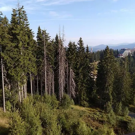 Пампорово студио Милка в хотел Росица Апартаменты Пампорово