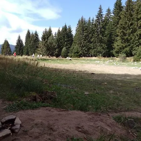 Апартаменты Пампорово студио Милка в хотел Росица *