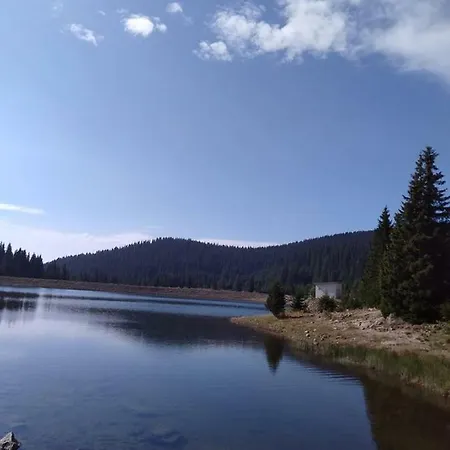 Пампорово Апартамент,Студио Милка 17,В Х Росица, За Ски И Туризъм,Целогодишно * פמפורובו