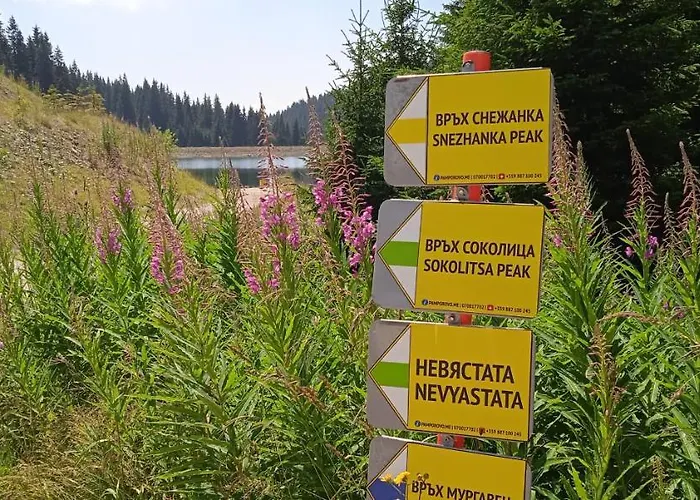 апартамент,студио милка 17,в х росица, за и туризъм,целогодишно アパート パンポロボ