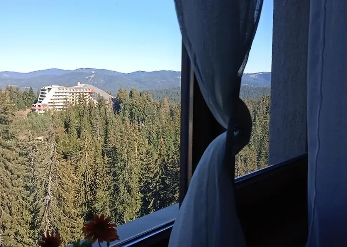 апартамент,студио милка 17,в х росица, за и туризъм,целогодишно アパート