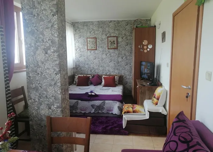 апартамент,студио милка 17,в х росица, за и туризъм,целогодишно アパート パンポロボ