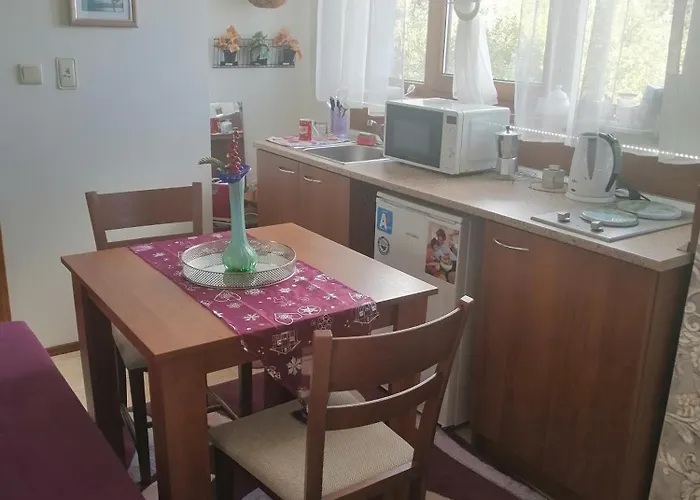 アパート апартамент,студио милка 17,в х росица, за и туризъм,целогодишно パンポロボ