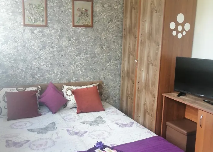 апартамент,студио милка 17,в х росица, за и туризъм,целогодишно パンポロボ