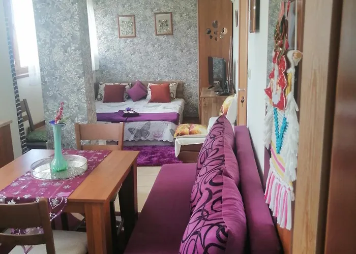 апартамент,студио милка 17,в х росица, за и туризъм,целогодишно * パンポロボ