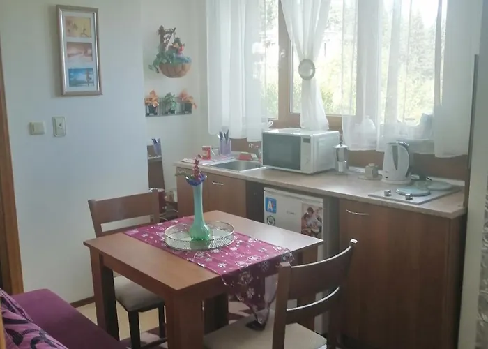 アパート апартамент,студио милка 17,в х росица, за и туризъм,целогодишно