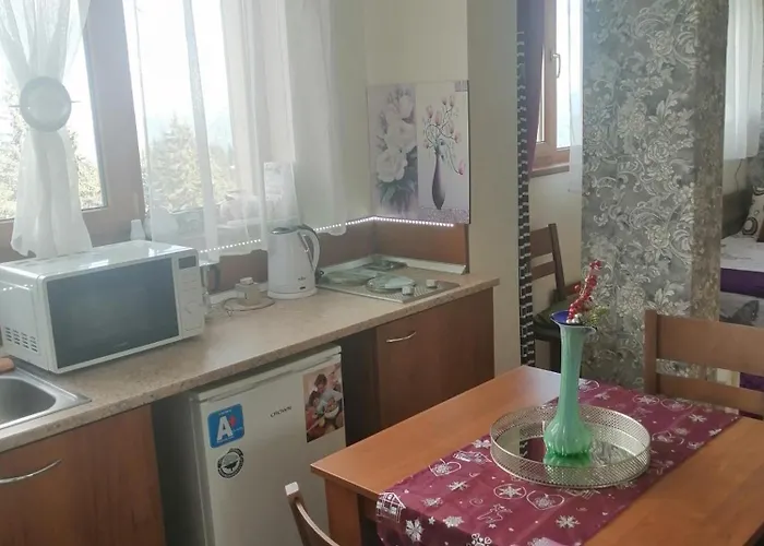 апартамент,студио милка 17,в х росица, за и туризъм,целогодишно パンポロボ