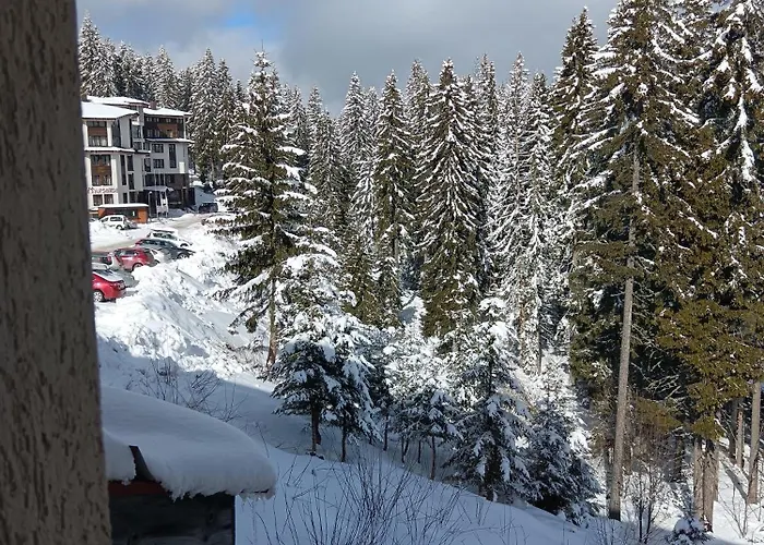 アパート апартамент,студио милка 17,в х росица, за и туризъм,целогодишно *