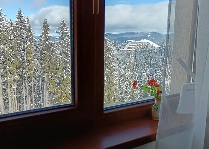 апартамент,студио милка 17,в х росица, за и туризъм,целогодишно * パンポロボ