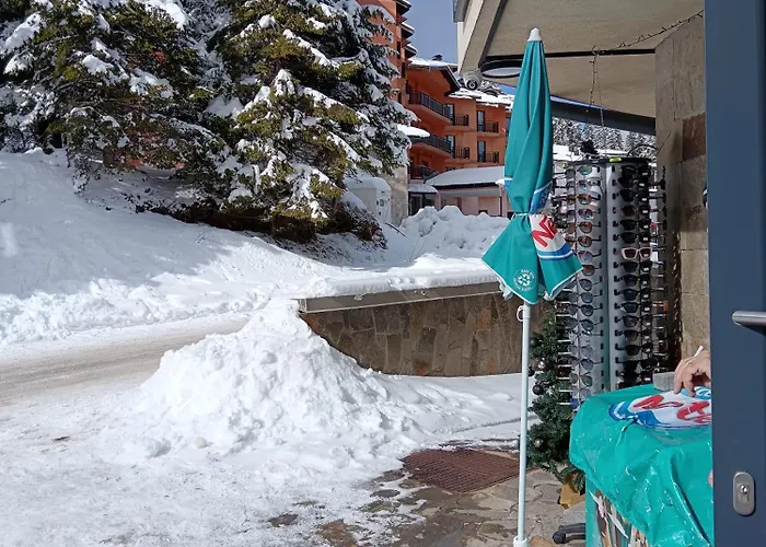 アパート апартамент,студио милка 17,в х росица, за и туризъм,целогодишно パンポロボ