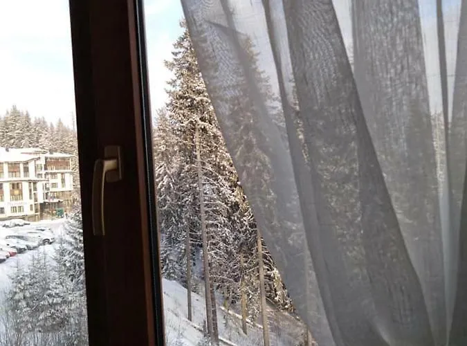 апартамент,студио милка 17,в х росица, за и туризъм,целогодишно アパート