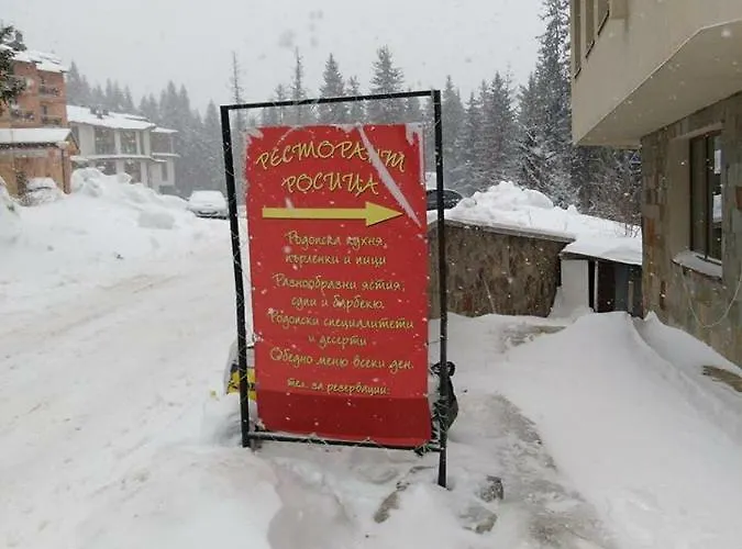 アパート апартамент,студио милка 17,в х росица, за и туризъм,целогодишно