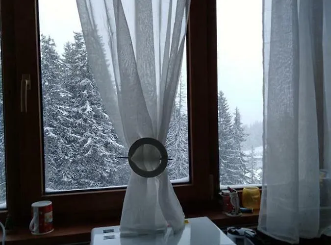 апартамент,студио милка 17,в х росица, за и туризъм,целогодишно アパート パンポロボ