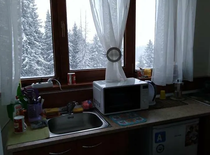 апартамент,студио милка 17,в х росица, за и туризъм,целогодишно アパート *