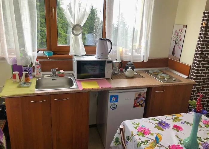 апартамент,студио милка 17,в х росица, за и туризъм,целогодишно * パンポロボ