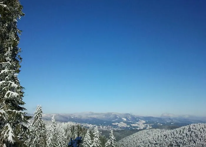 アパート апартамент,студио милка 17,в х росица, за и туризъм,целогодишно