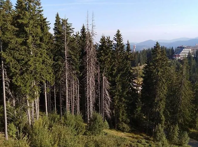 апартамент,студио милка 17,в х росица, за и туризъм,целогодишно アパート パンポロボ