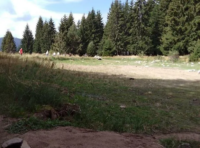 アパート апартамент,студио милка 17,в х росица, за и туризъм,целогодишно *