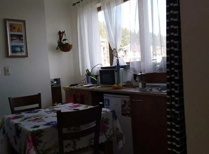 апартамент,студио милка 17,в х росица, за и туризъм,целогодишно パンポロボ