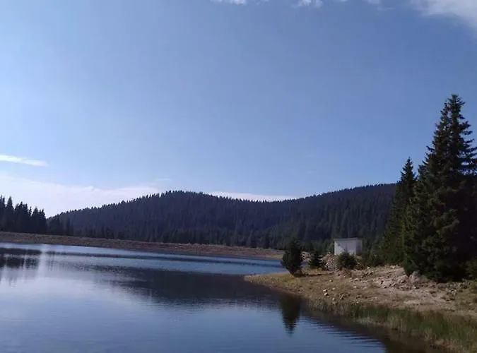 апартамент,студио милка 17,в х росица, за и туризъм,целогодишно * パンポロボ